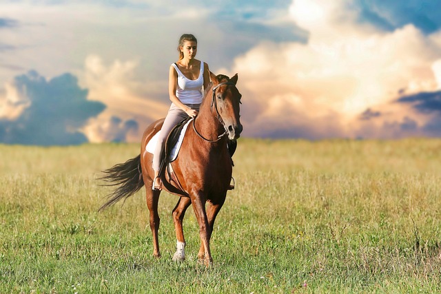 Van manegemaatjes tot lippizaners: een diepgaande duik in paardenrassen, verzorging, rijtechnieken en gezondheidsaspecten